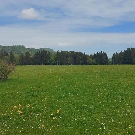 Apartment Seeberg Mit Almfeeling Faistenau